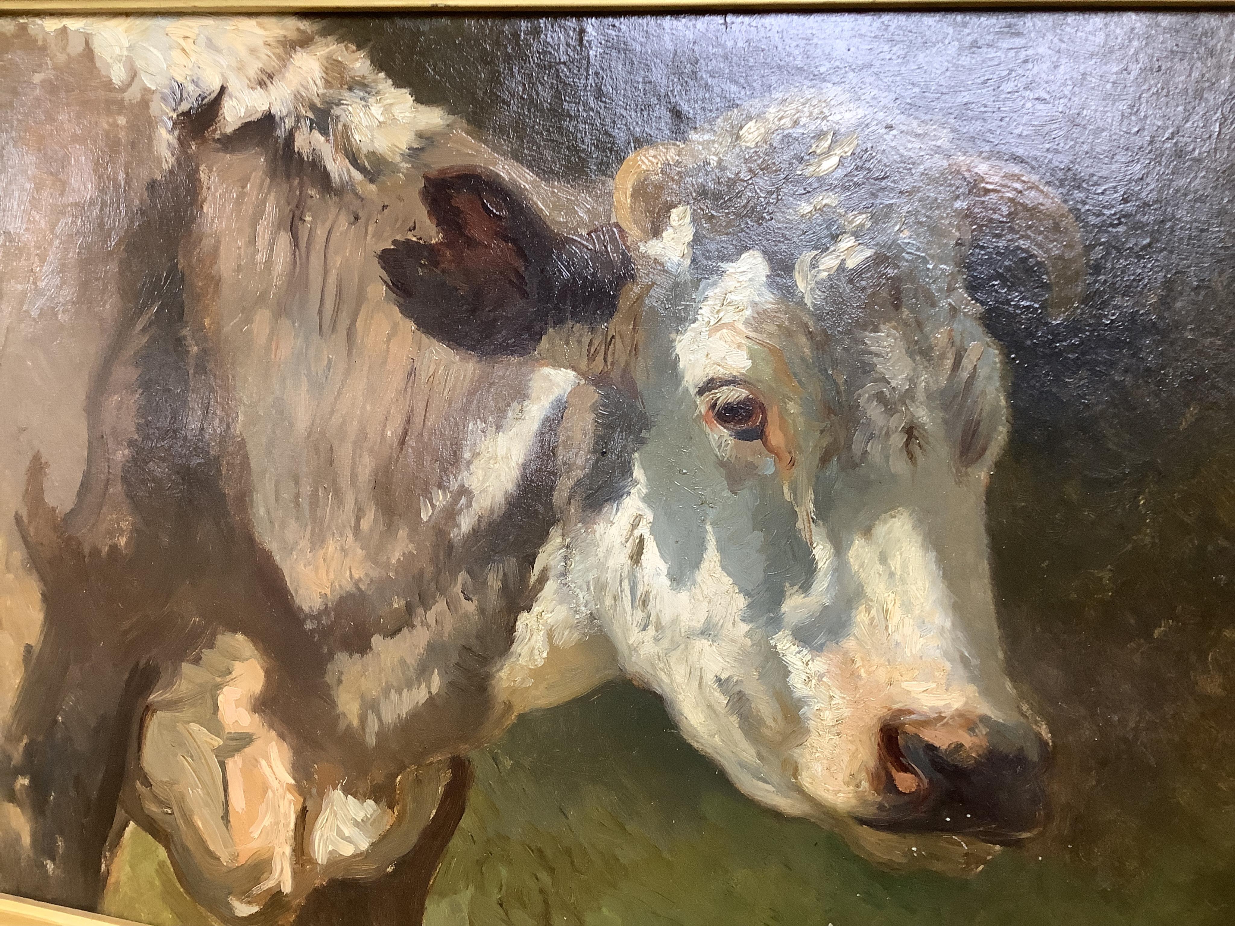 Impressionist oil on board, Study of a cow, initialled G B, 29 x 39cm, ornate gilt frame. Condition - good